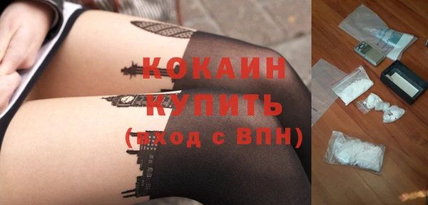 ПСИЛОЦИБИНОВЫЕ ГРИБЫ Абаза
