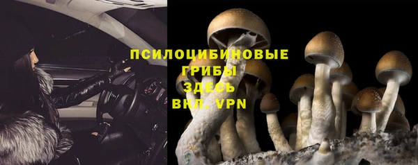 мяу мяу мука Абинск