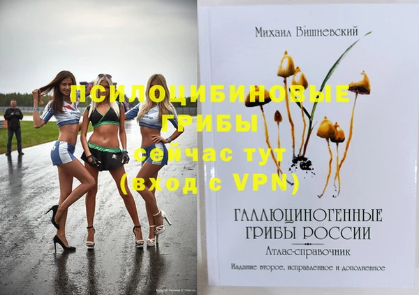 ПСИЛОЦИБИНОВЫЕ ГРИБЫ Абаза