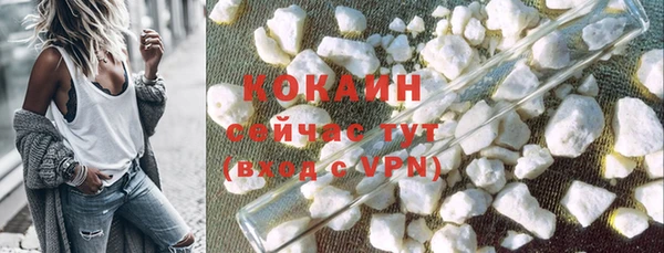 ПСИЛОЦИБИНОВЫЕ ГРИБЫ Абаза