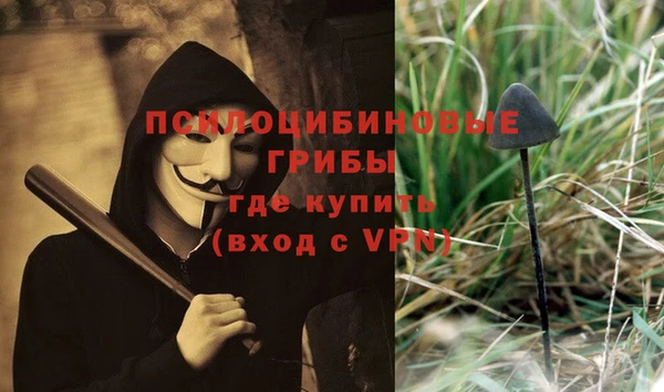 ПСИЛОЦИБИНОВЫЕ ГРИБЫ Абаза