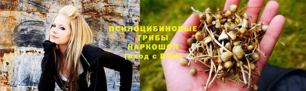 мяу мяу мука Абинск
